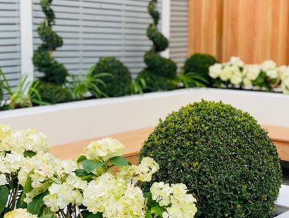 soft landscaping tips