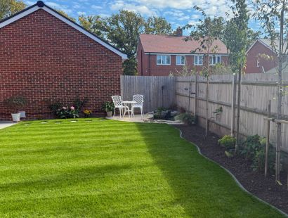 low-maintenance plants