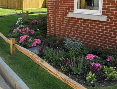 summer planting ideas